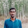 P Bhasker