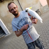 Giuseppe Falbo