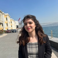 İrem Budak