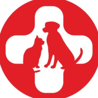 Administrator Spca International