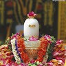 Dev tandan