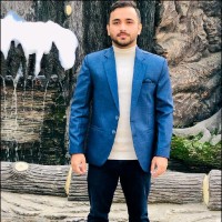 Ameer Hamza