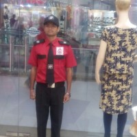 HARI INTELLIGENCE SECURITY (HIS)