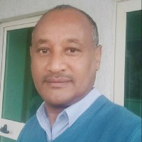 Teklu Kidane A