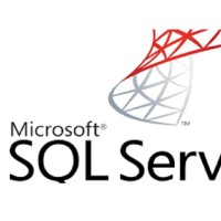 MS SUPPORT sql