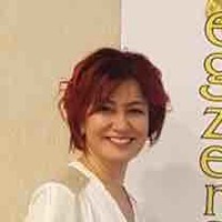 Gediz Ersin