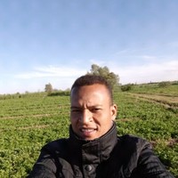 Elgamrouni Mohamed