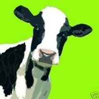 Funky Cow