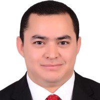 Mostafa Ibrahim (Mba,Msc ,Beng)