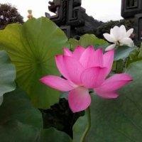 王铁生