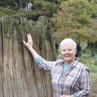 Janice Ballard