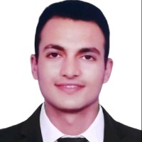 Ahmed Elzamzamy