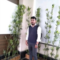 Vikas Kumar