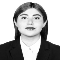 Andrea Sofía Castillo Pérez