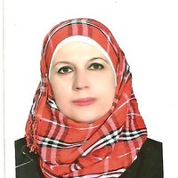 AIDA AMEER ALWAN