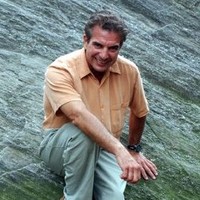 Wayne Vitale