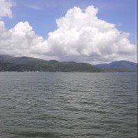 王瑞霖