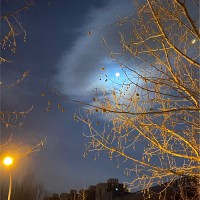 王慧龙