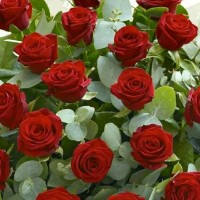 Prakash Akash