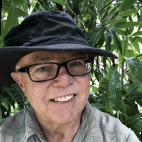 David Morcombe
