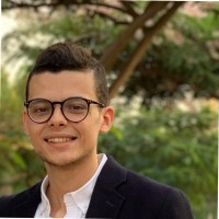 Omar Mowafi