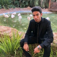 Ahmed El Hamahmy