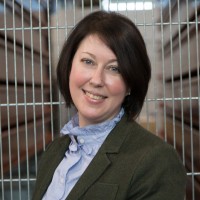 Kelly O'Shea