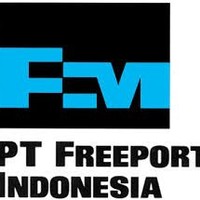 Pt Freeport