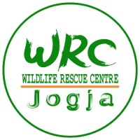 WRC Jogja