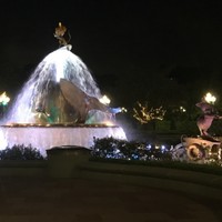 何燕燕