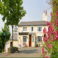Sycamore Tree Inn Sycamore Teee Inn