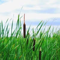Trophées de l'Agriculture de Côte-d'Or