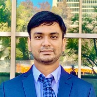 Bishwajit N. Roy