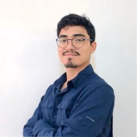 Diego Alonso Puicon Ascoy