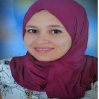 Nariman Elmasry