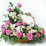 Syed Shahed