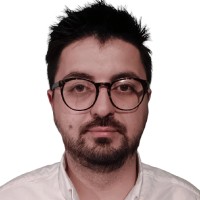 Paul Vlad