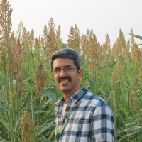 Kapil R. Raje, Phd