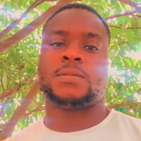 Emmanuel Chisom Ojukwu