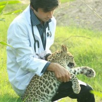 Fahad Shahzad