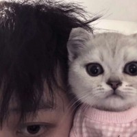 温志华