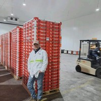 Eladio Enrique Sotelo Silva