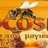Melissocosmos Beekeeping