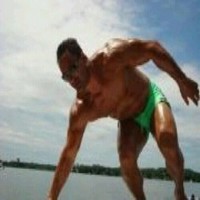 dan avi