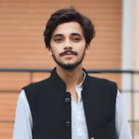 Raman Raj
