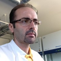 Reza Agheli