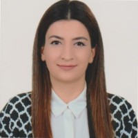 Damla Ari Aslan
