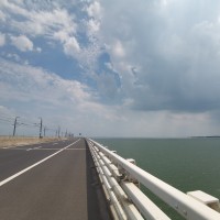 钱飞飞