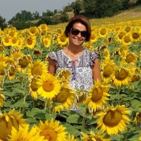 Anna Polli