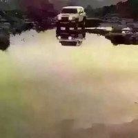 张蔚东